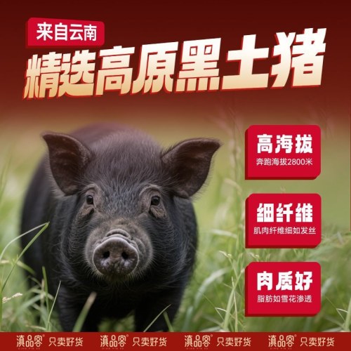 云南特产火烧猪肉干