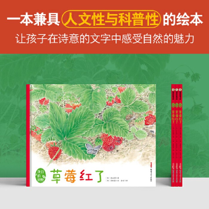 我们的田野·草莓红了