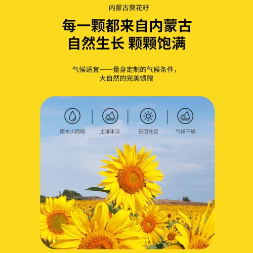 三只松鼠蟹黄味瓜子仁218g/袋