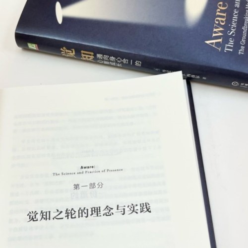 觉知：通向身心合一的心智成长