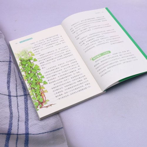 大语文趣味阅读我的读书时光