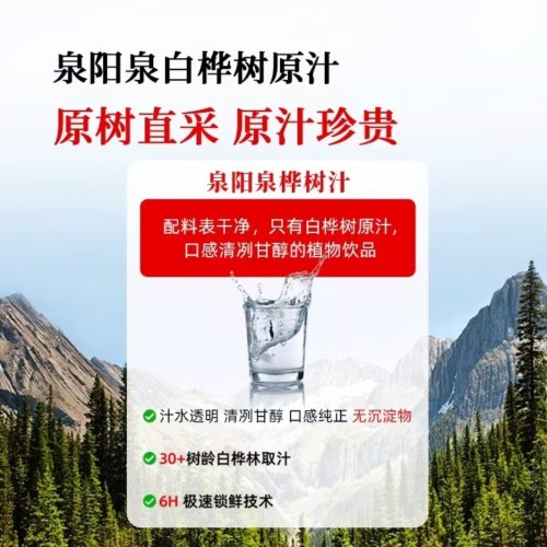 泉阳泉(QUANYANGQUAN)100%NFC白桦树汁原液300ml*12瓶*2箱