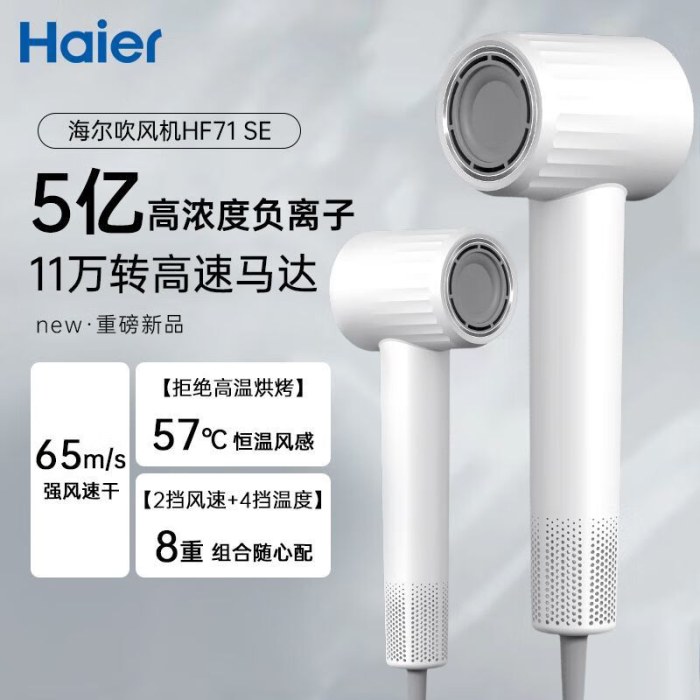 海尔高速吹风机家用负离子护发电吹风筒大风量速干HF61（弦乐白）
