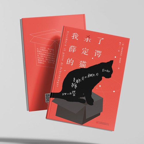 我杀了薛定谔的猫