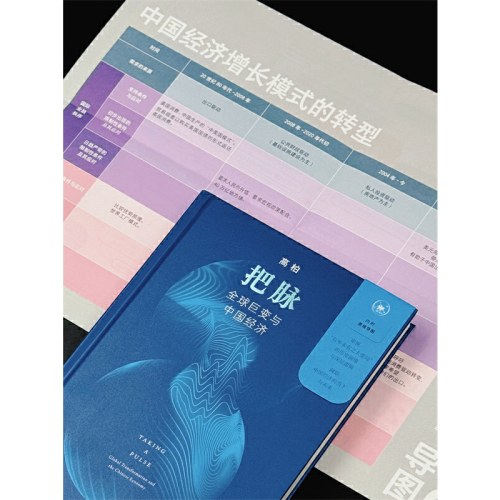 把脉：全球巨变与中国经济 精装版
