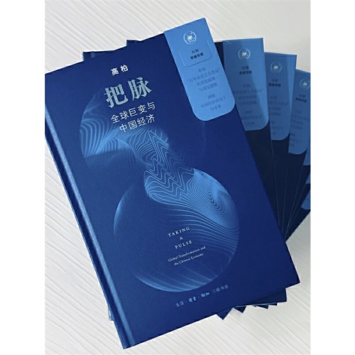 把脉：全球巨变与中国经济 精装版