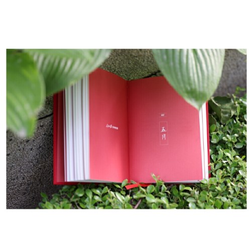 人民日报金句每日读