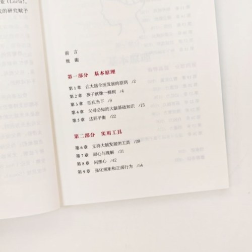 请这样对待孩子的大脑