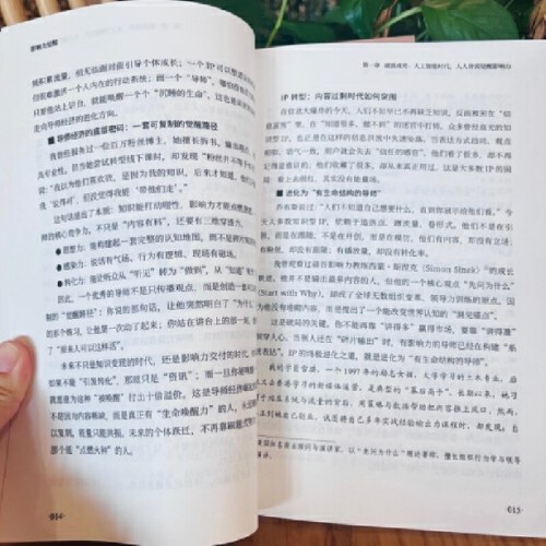 影响力觉醒：人人可习得的影响力变现系统