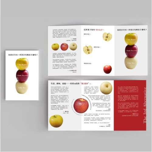 第3选择 解决所有难题的关键思维