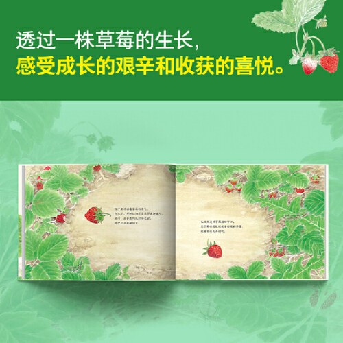 我们的田野·草莓红了