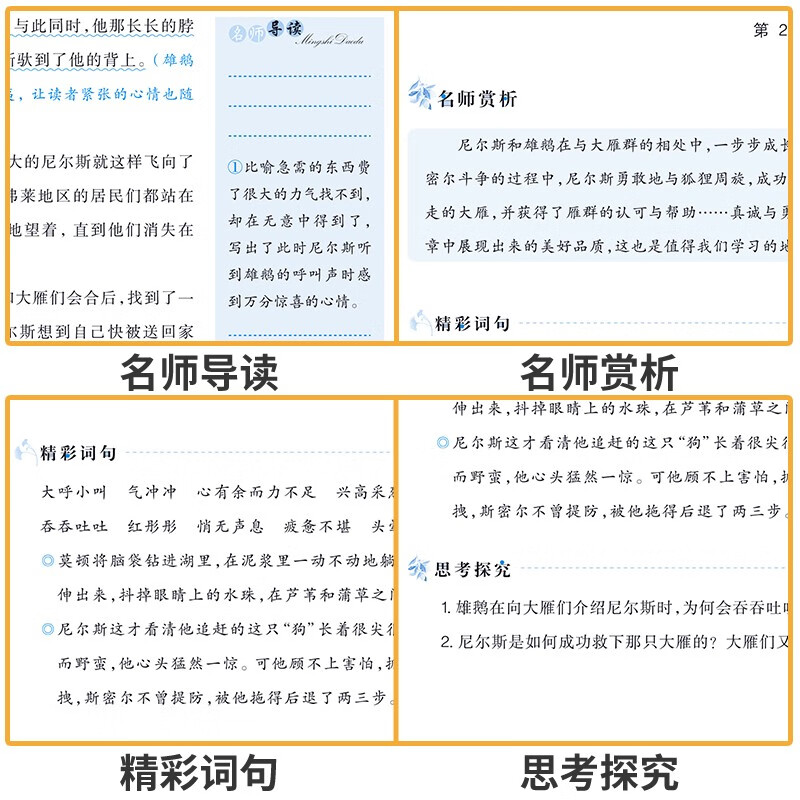 新阅读经典书系·骑鹅旅行记