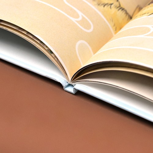 药圣李时珍---精装绘本