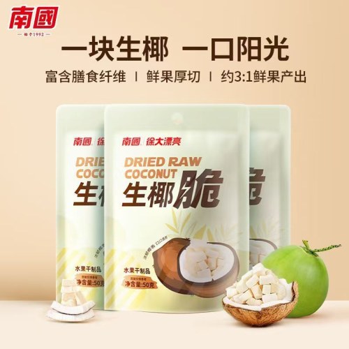 南国生椰脆椰子肉干50g袋装海南特产香烤椰子脆片