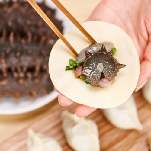 壹网渔海参水饺辽刺参水饺礼箱内含4盒水饺每盒12只每只20克 海参饺子礼箱（内含4盒）