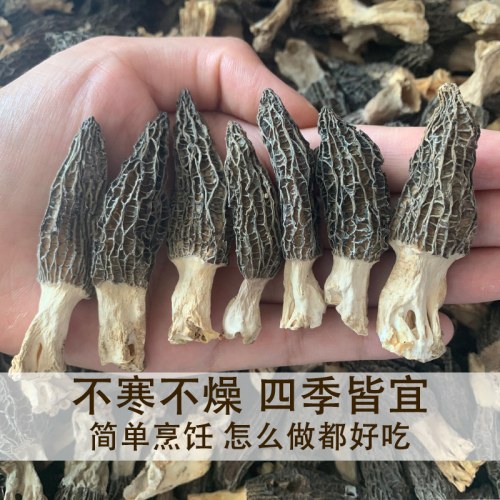 云南精选小号羊肚菌干货