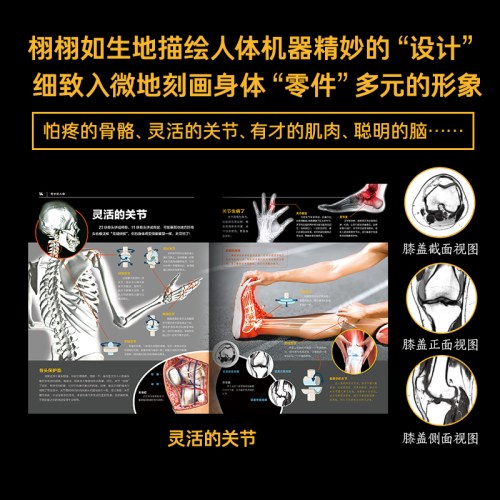 中国少儿百科知识全书·第2辑：奇妙的人体