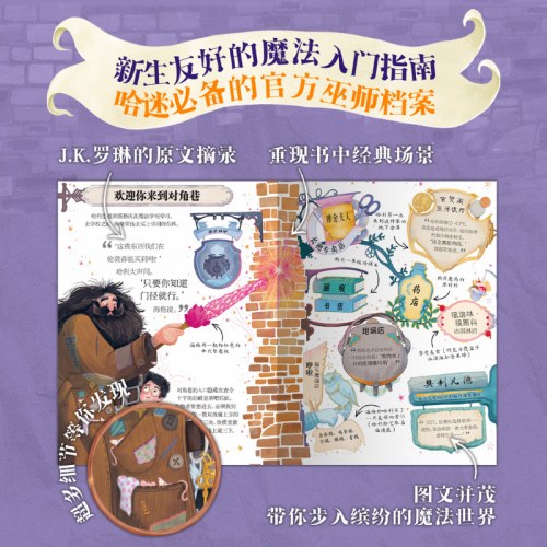 口袋波特：罗恩·韦斯莱