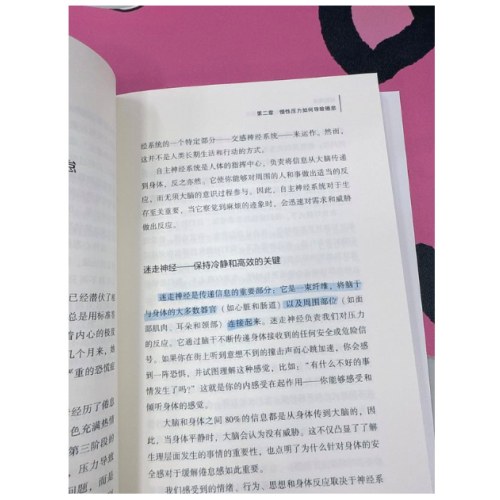 战胜倦怠：在身心透支之前，掌控你的神经系统