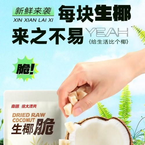 南国生椰脆椰子肉干50g袋装海南特产香烤椰子脆片