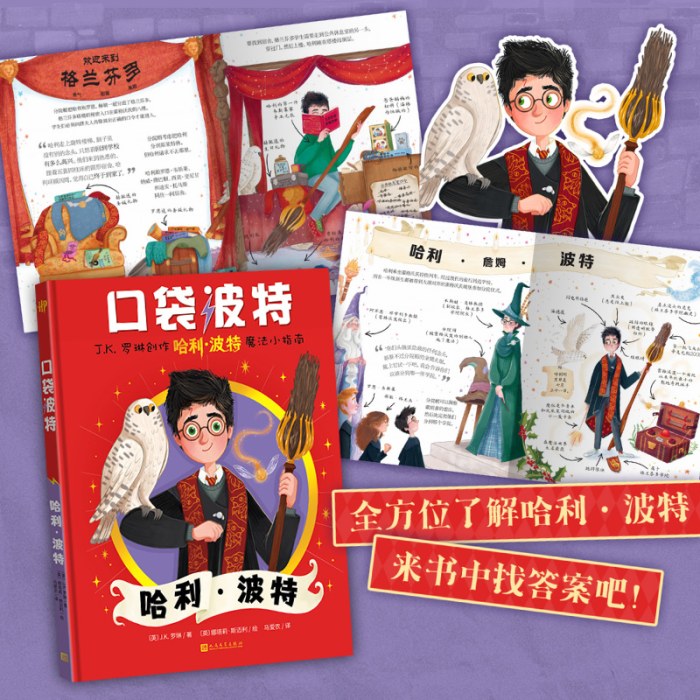 口袋波特：哈利·波特