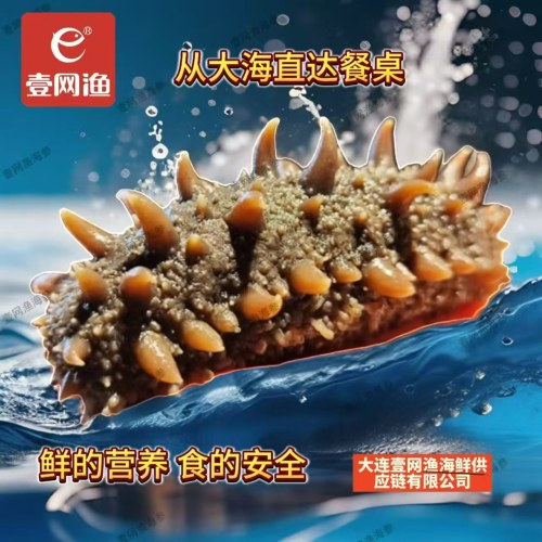 壹网渔即食海参1500g