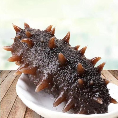 壹网渔海参即食大连底播海参壹网渔8头/10头/12头混装（1斤/2斤/3斤）