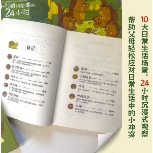 小刺猬阿奈家的24小时