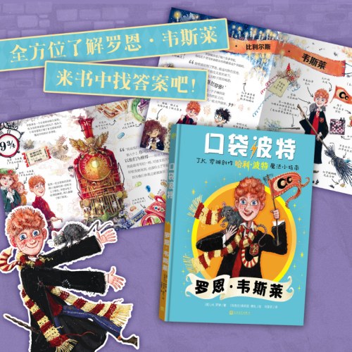 口袋波特：罗恩·韦斯莱