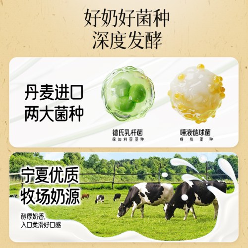 东方补者桑葚五黑酸奶