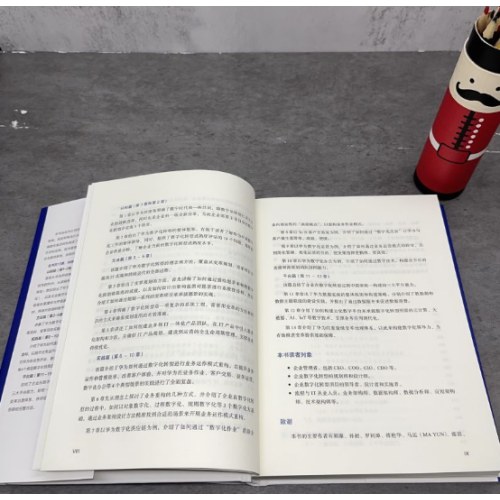 华为数字化转型之道