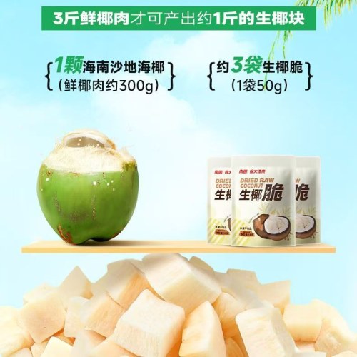 南国生椰脆椰子肉干50g袋装海南特产香烤椰子脆片