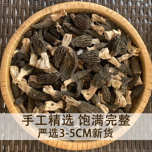 云南精选小号羊肚菌干货
