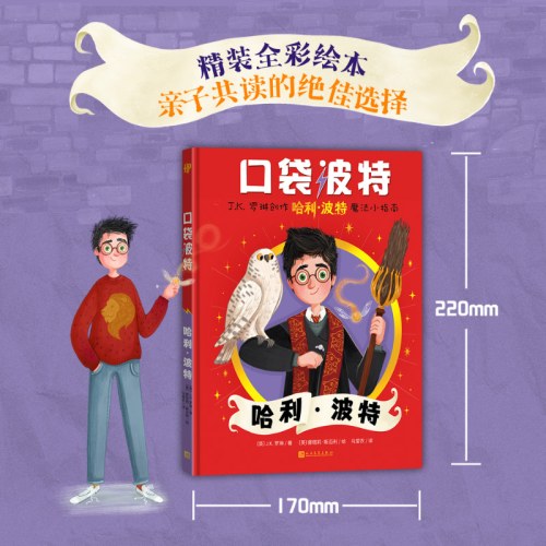 口袋波特：哈利·波特