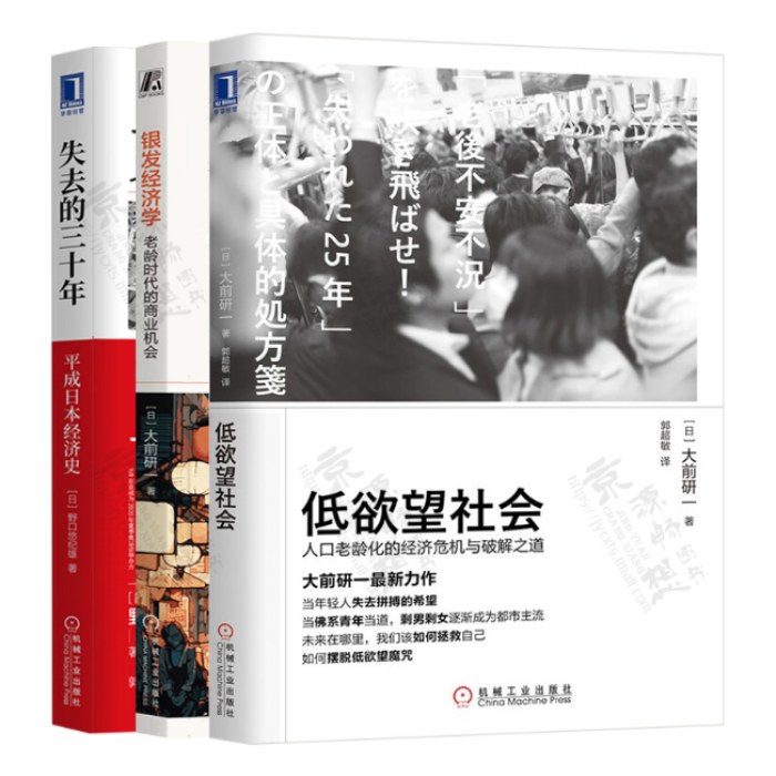 失去的三十年+银发经济学+低欲望社会 日本经济研究系列 套装共3册