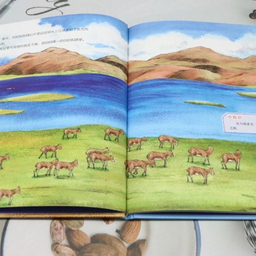 出生在中国走近中国特有的珍稀动物跟着妈妈跑啊跑