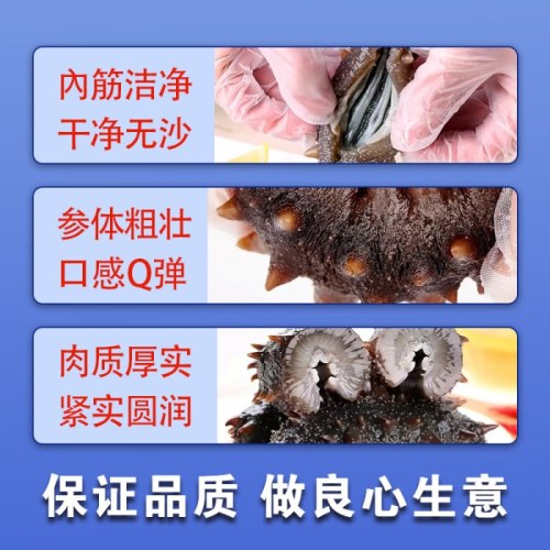 壹网渔海参即食大连底播海参壹网渔8头/10头/12头混装（1斤/2斤/3斤）