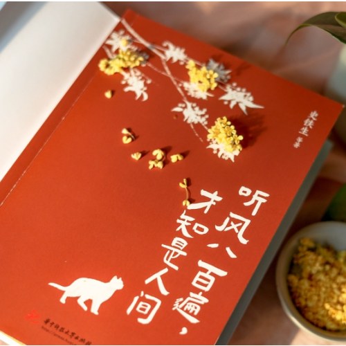 听风八百遍，才知是人间