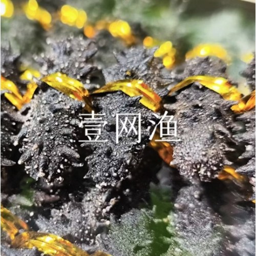 大连淡干海参礼盒（国标）