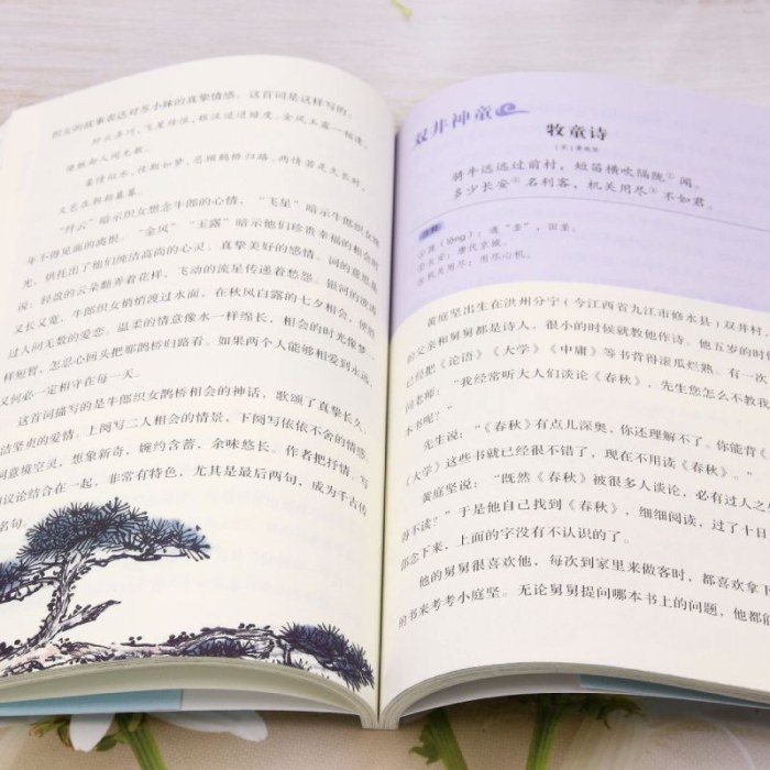 如果诗词会讲故事.宋词篇