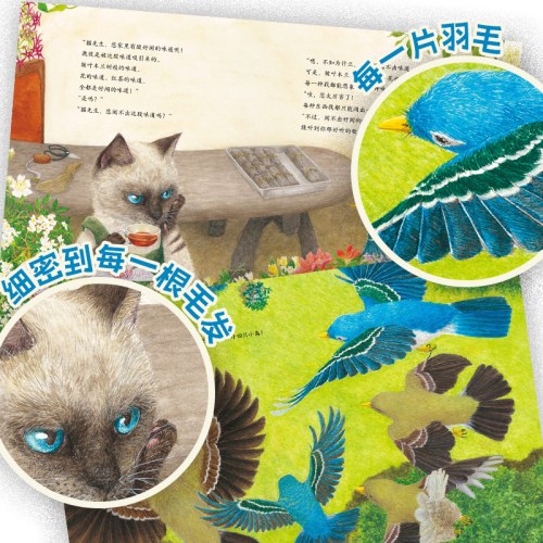 幸福的旅程：猫咪和小鸟的约定（精）