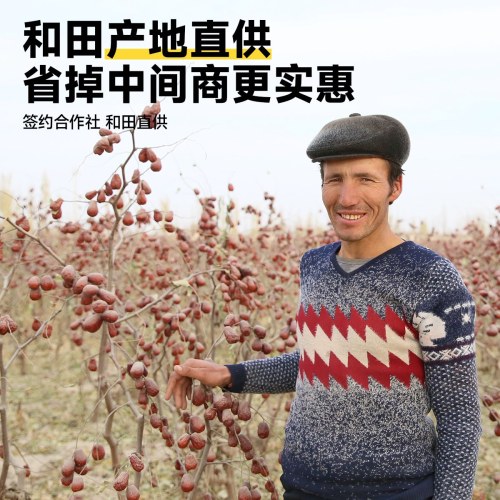 西域美农特特级八星新疆和田免洗大红枣