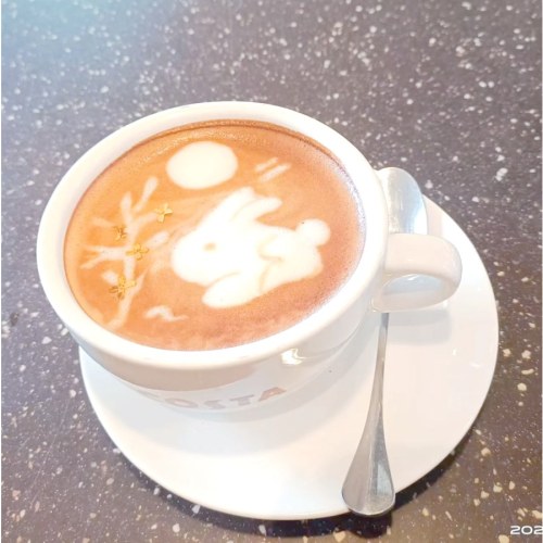 【职业体验】小小咖啡师（葫芦岛店专用）