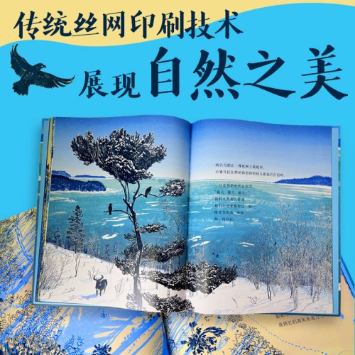 幸福的旅程：冰上起舞（精）