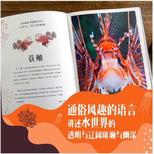 DK探秘缤纷水世界