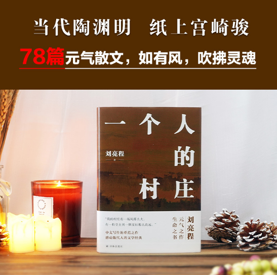 一个人的村庄---刘亮程代表作