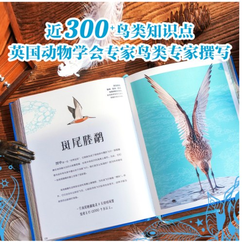 DK灵动盎然的飞鸟