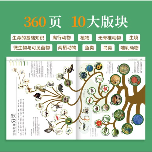 DK自然运转的秘密