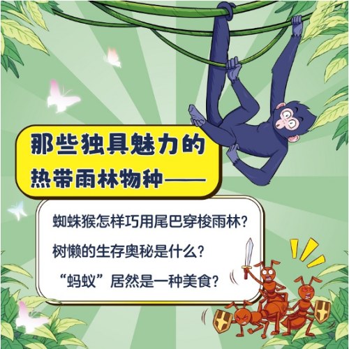 开心锤锤 趣味百科3