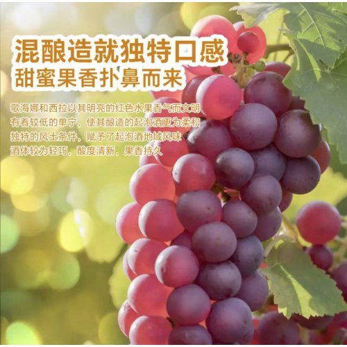无醇起泡葡萄汁无酒精西班牙原瓶进口
